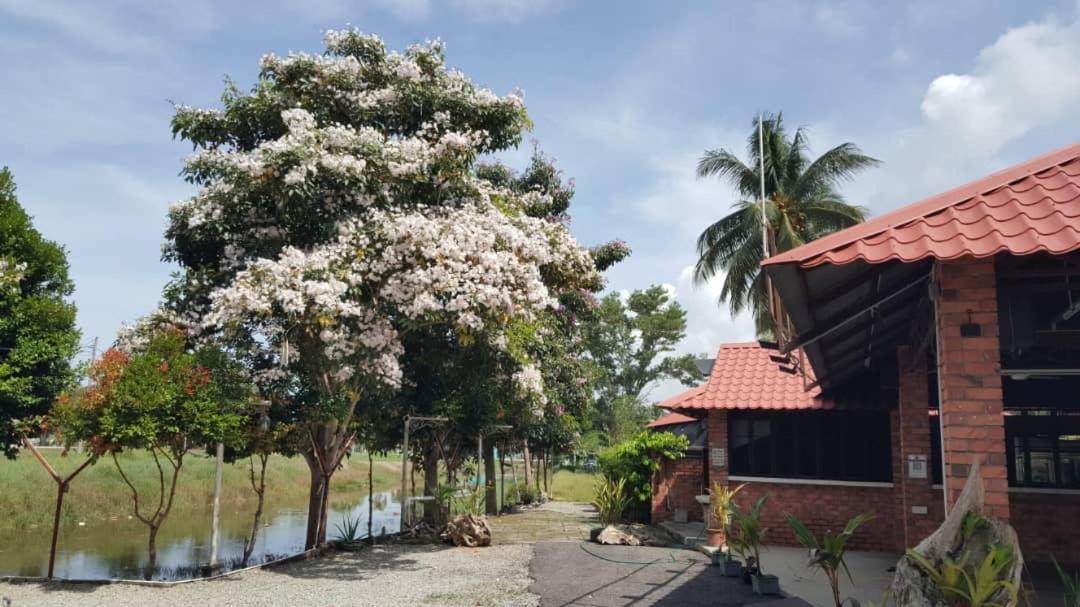 Homestay Umbai Kelana Merlimau Екстериор снимка